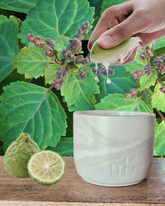 Ampersand - Bergamot | Patchouli