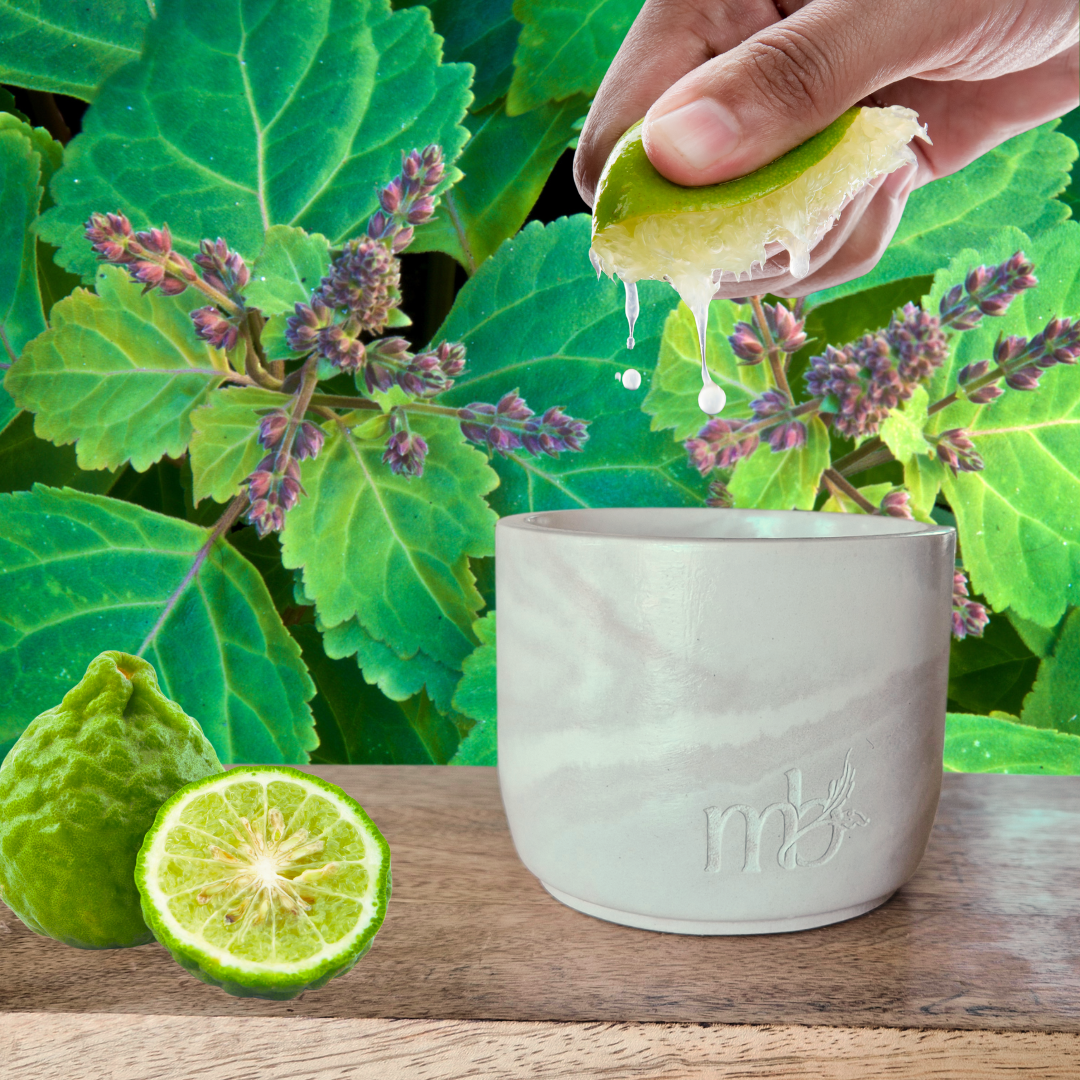 Ampersand - Bergamot | Patchouli