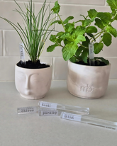 Planter Sticks - Herb