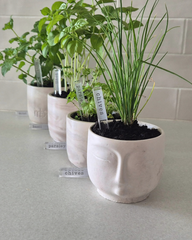 Planter Sticks - Herb