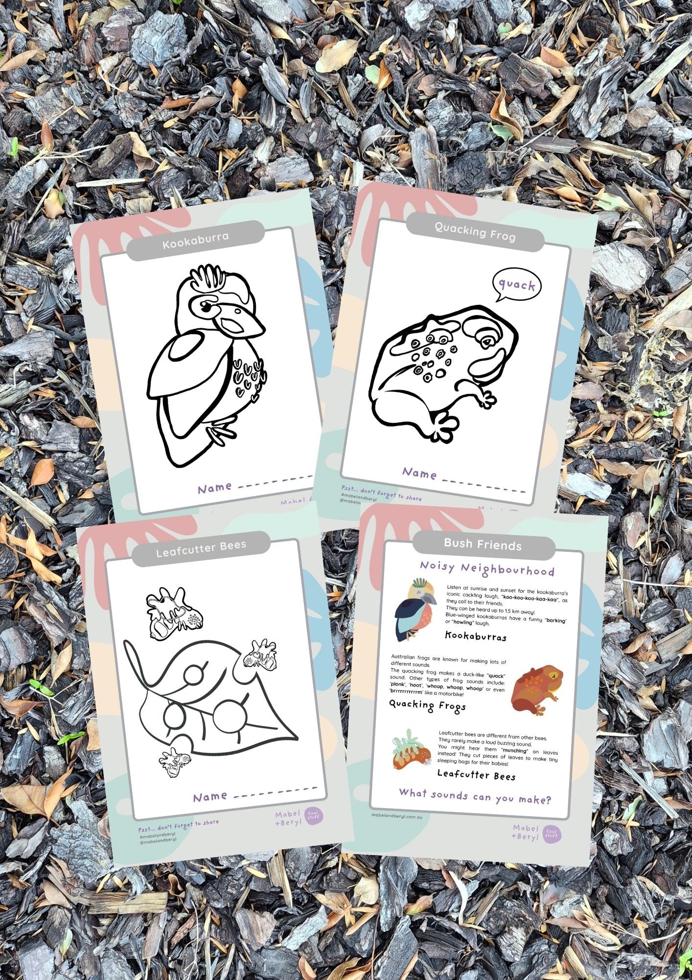 Bush Friends - FREE Colouring Pack 'Noisy Neighbourhood'