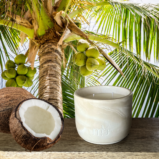 Luxury soy candle coconut pistachio Brazilian bum bum
