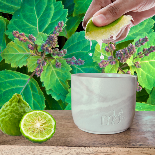 Ampersand - Bergamot | Patchouli