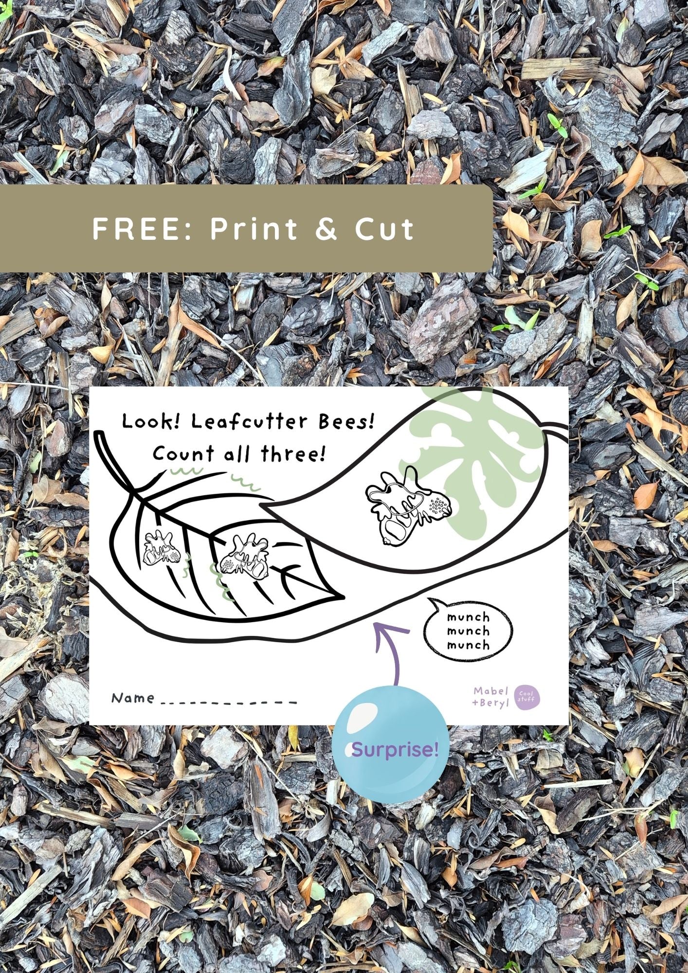 Print and Cut - Leaf Cutter Bees Pop-Up