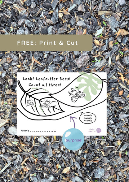 Print and Cut - Leaf Cutter Bees Pop-Up
