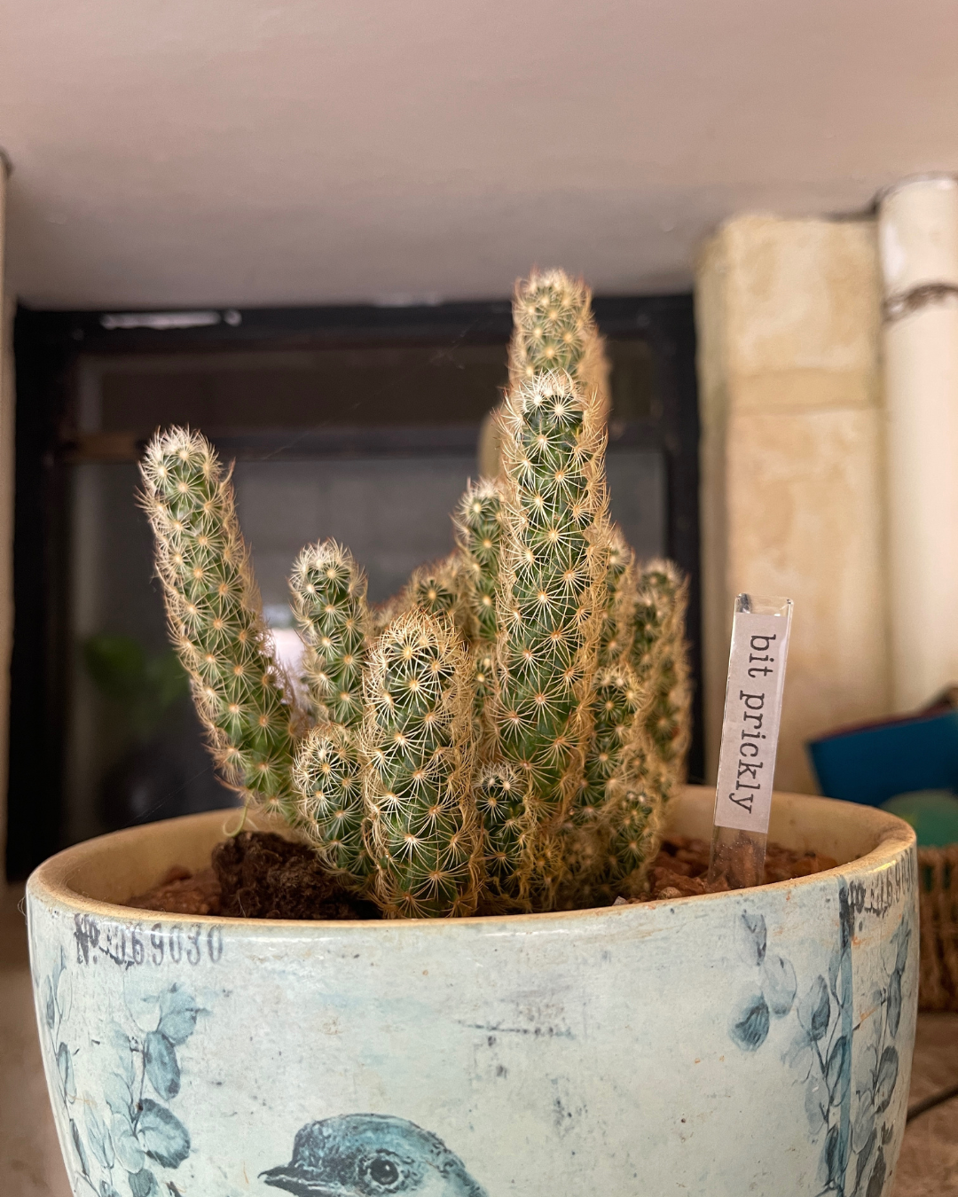 Planter Sticks with Atti-Tube